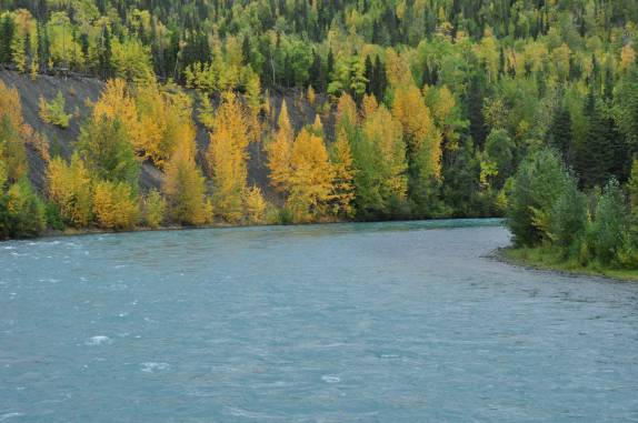 Muitas cores na bela paisagem da estrada entre Homer e Seward, na Península do Kenai, sul do Alaska